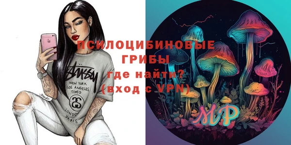 PSILOCYBIN Армянск